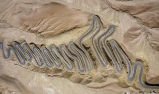 从今以后你会是所有