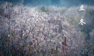 立冬打雷预示什么预兆 立冬打雷预示什么预兆